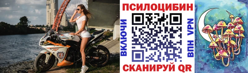 даркнет сайт  Каргат  Галлюциногенные грибы мухоморы 